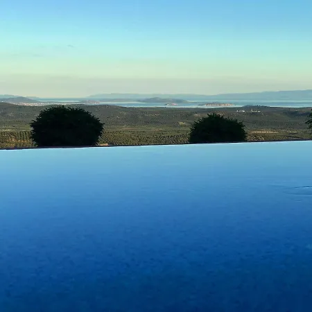 Marlo 12 Adult Only *