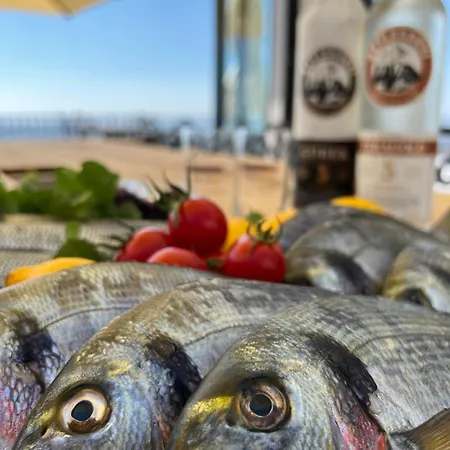 Otel Marlo 12 Adult Only