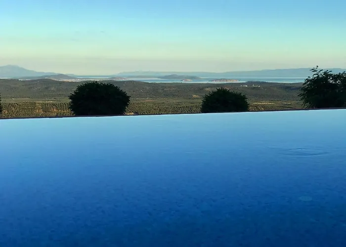 Marlo 12 Adult Only *