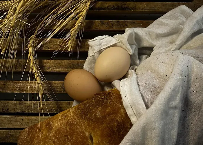 ホテル Marlo 12 Adult Only Ayvalı