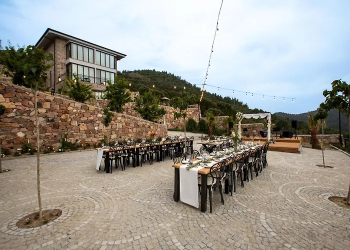 Marlo 12 Adult Only *