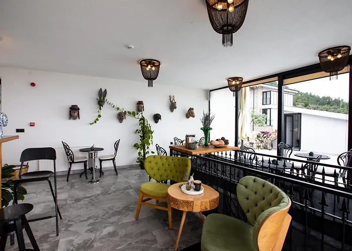 Marlo 12 Adult Only * Ayvalı